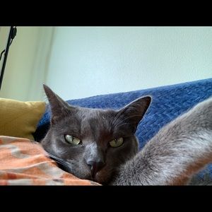 Meet your Posher, Robin